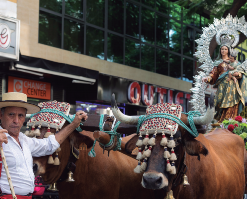 Imagen de la magnífica carreta de bueyes que llevó a la Virgen en romería hasta El Esparragal.