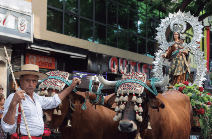 Imagen de la magnífica carreta de bueyes que llevó a la Virgen en romería hasta El Esparragal