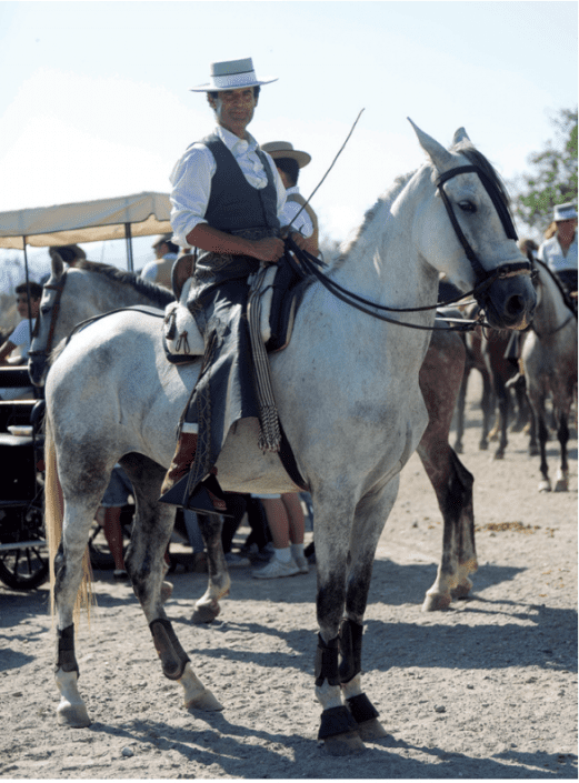 Guillermo García montando a Andaluza CCXLVII, una yegua de la legendaria ganadería Miura