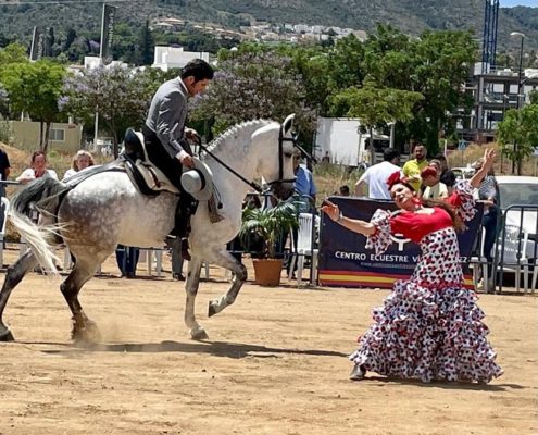 Catalina Arroyo Jaime, Abogada Ecuestre Y Amazona De Vaquera Nivel ...