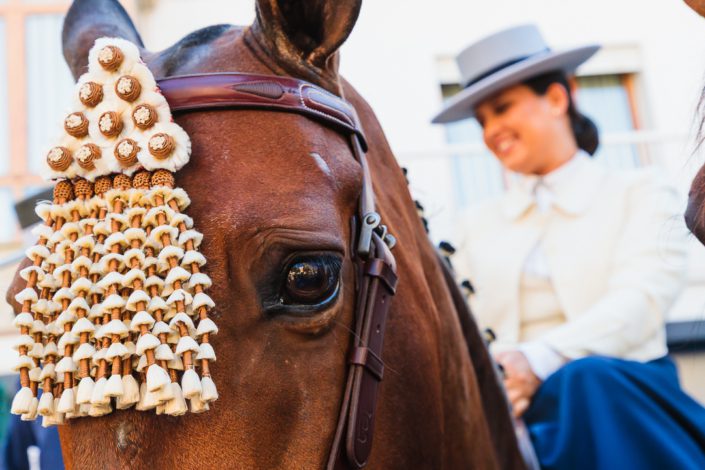 La ciudad de Fuengirola rindió homenaje al caballo el pasado 19 de septiembre